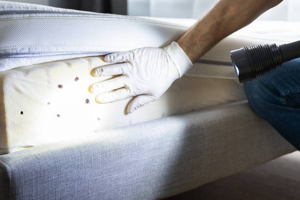Best Pest Inspection Near Me  in Browntown, PA