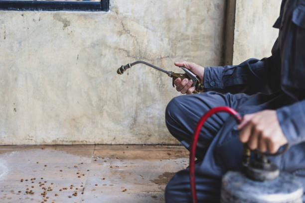 Best Pest Control for Homes  in Browntown, PA